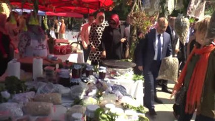 Tyche Bereket Festivali"