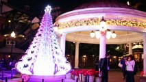 東京ディズニーシー：水上ショー「カラー・オブ・クリスマス」が15周年バージョンに