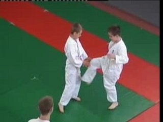 Pokaz Karate podczas V Festiwalu Sztuk Walki w Krakowie