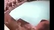 Earthquake footage live- Pool Shaking Out.