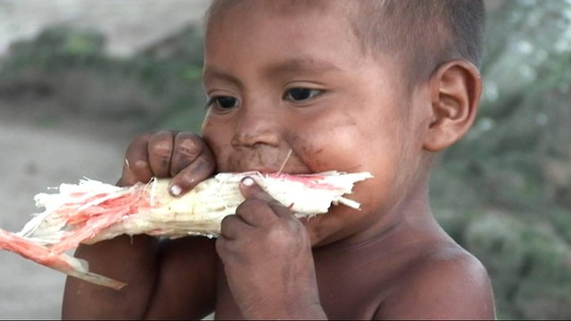 Venezuelans face severe food shortage