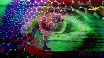 Adrian Skoczylas - Obudzeni (2016) 4K 5.1