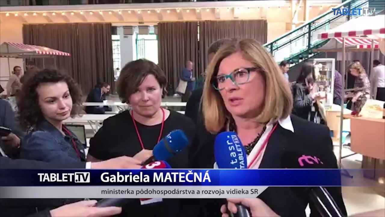 ZÁZNAM: Brífing ministerky G. Matečnej