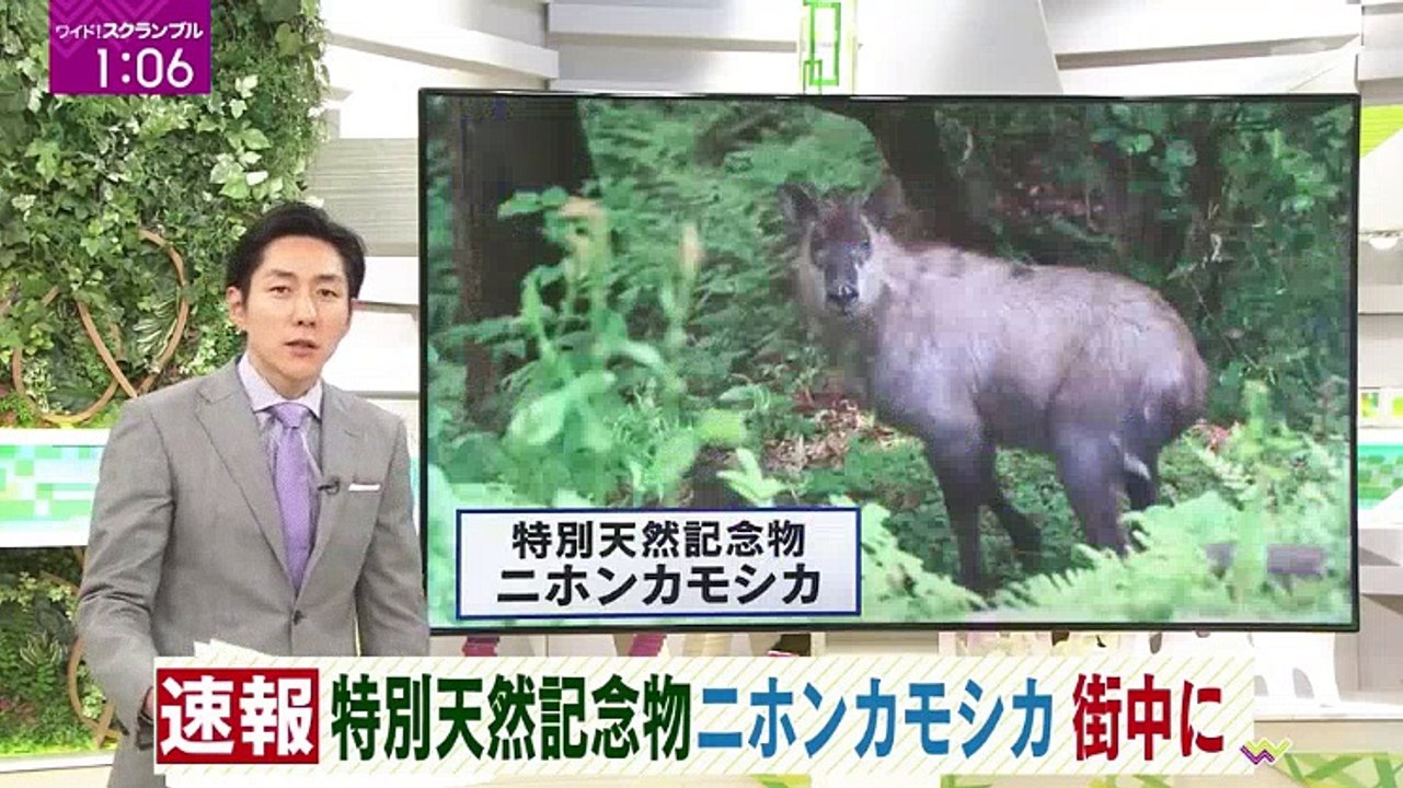 ワイド スクランブル 第2部 20170512