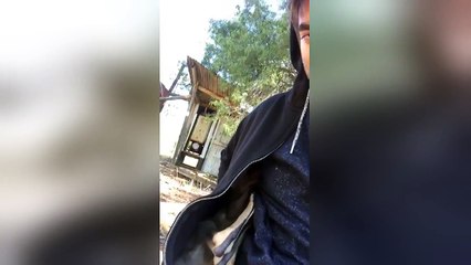 Rescued baby kangaroo takes a nap in British man's hoodie