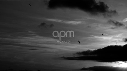 APM Monaco - Salut les Terriens