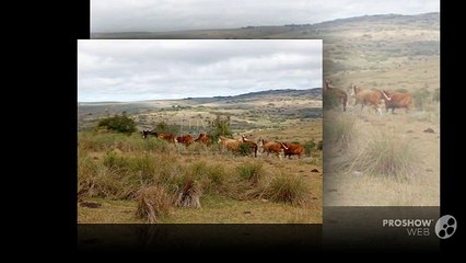 LAND FOR SALE - Cheap land