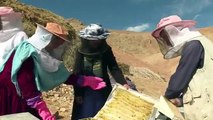 Queen bees_ how honey co-odps help Afghan women take control