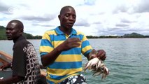 Turning the tide on overfishing at Lake Malawi | DW English