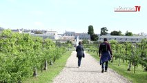 Visitez le Potager du Roi du Château de Versailles.