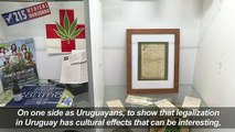 Cannabis museum celebrates legal weed in Urugua
