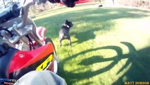 Angry Dogs Attack Motorcyclists _  & Rescues Dogs