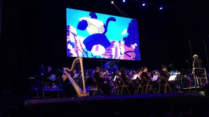 Dragon Ball Symphonic Adventure 10-20