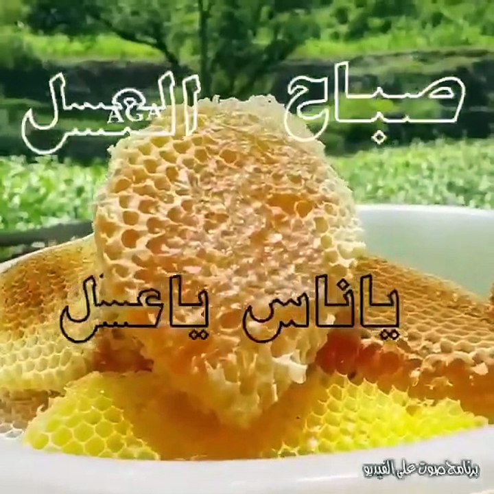 صباح العسل - video Dailymotion