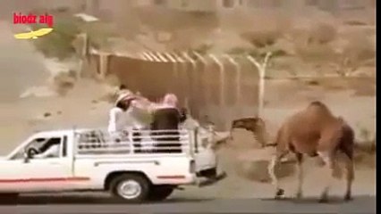 Maa Ki mamta ko salam