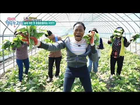 흑간지 스웩~ 흑인 누나의 ‘곤드레 만드레’ [행복한 저녁] 19회 20170512