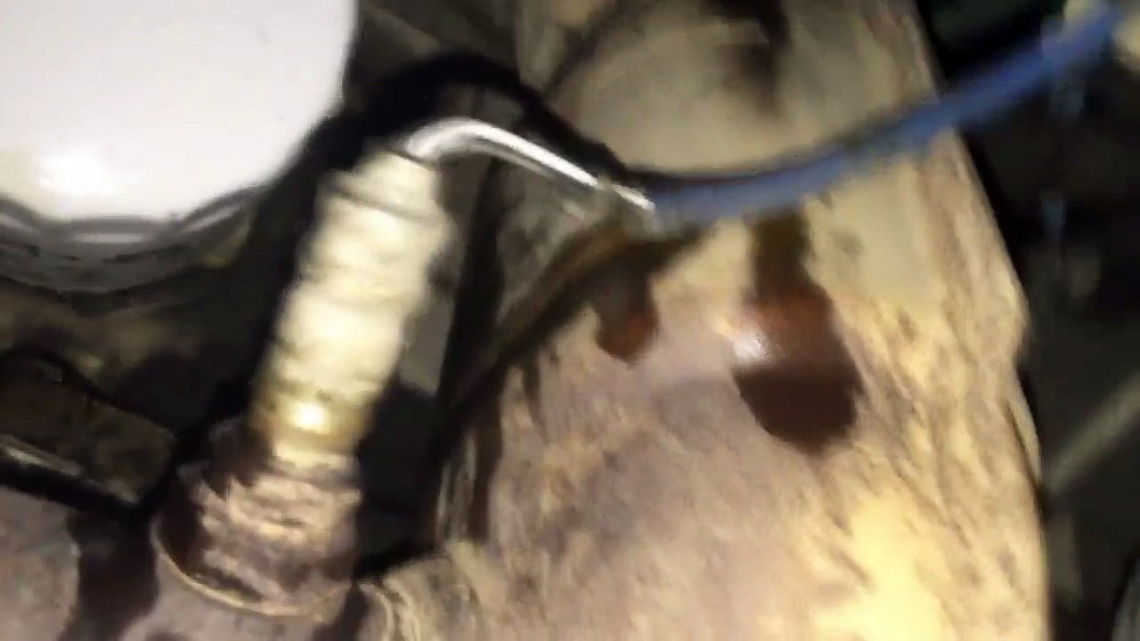 Ford Escape Mazdaith Code P0136 O2 Sensor