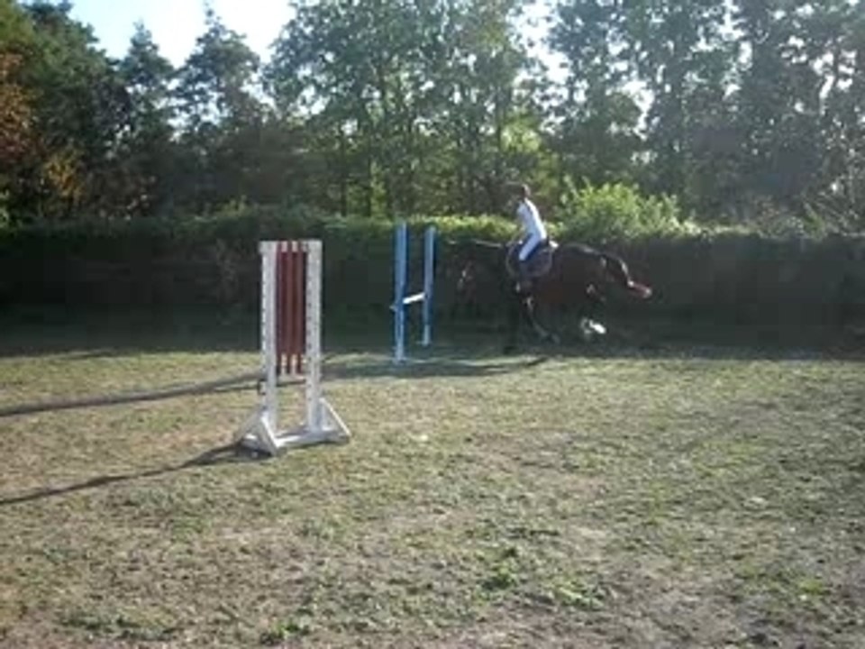 MVI_0987