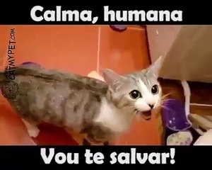 Vou te Salvar!!!