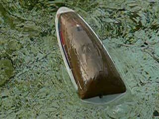 Mini eco de chez Graupner