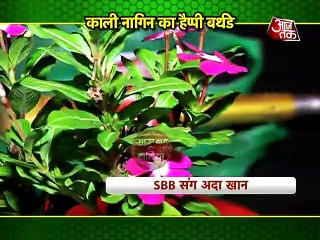 SBB Special_ Adaa Khan's Eco-friendly Birthday