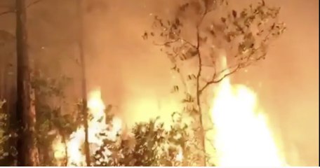 West Mims Wildfire Grows Again Overnight