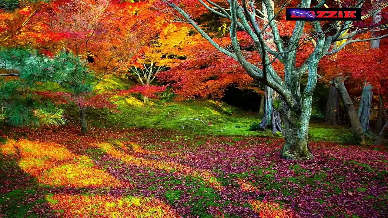 UN NUEVO AMOR  ♥ Musica Cristiana ♥