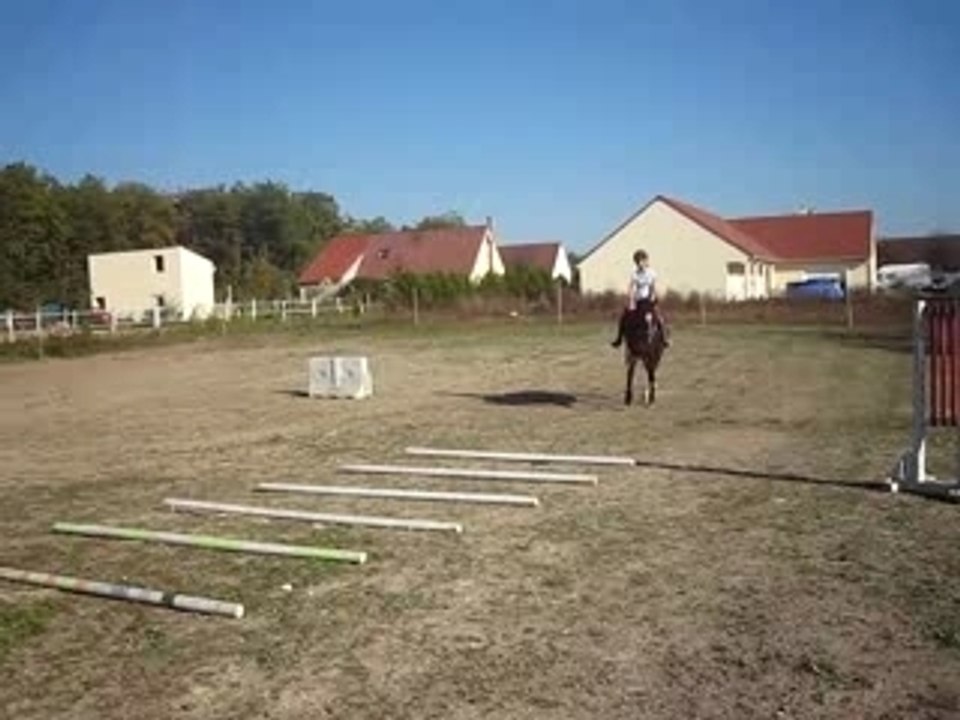 MVI_0979