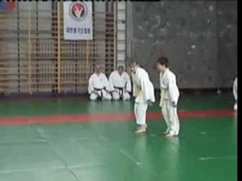 Ju-Jitsu pokaz podczas V Festiwalu Sztuk Walki w Krakowie