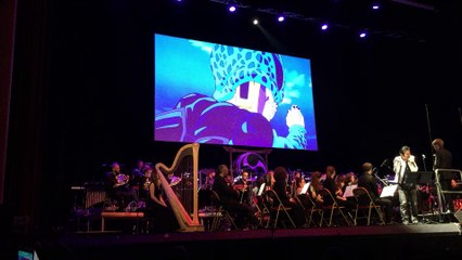 Dragon Ball Symphonic Adventure 15-20