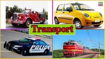Learn Transport Vehicles For Children and Kids Learn Vehicles Names And Sounds For Kids