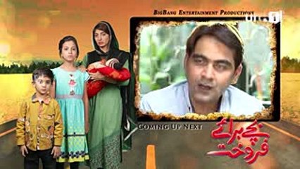 Watch Bachay Baraye Farokht Online Latest Episode - Episode 80 - Urdu1