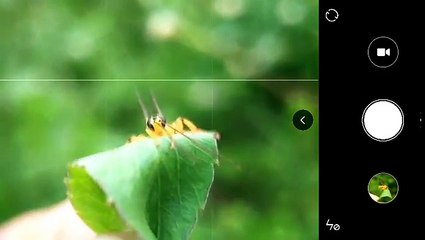 Tutorial Macro 1 2016 ( Tips & Trick Macro Phone  With Xiaomi Mi4i )