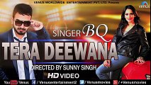 Tera Deewana - Hindi Romantic Song - Official Music Video  - BQ - Latest Hindi Songs 2017