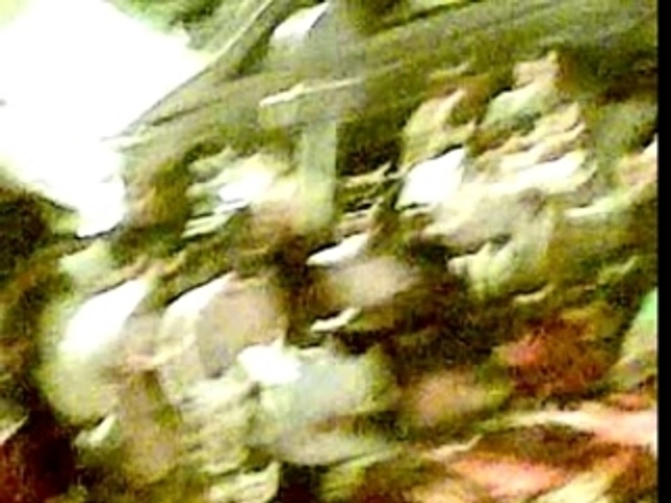 LE TOURBILLON DE LA VICTOIRE