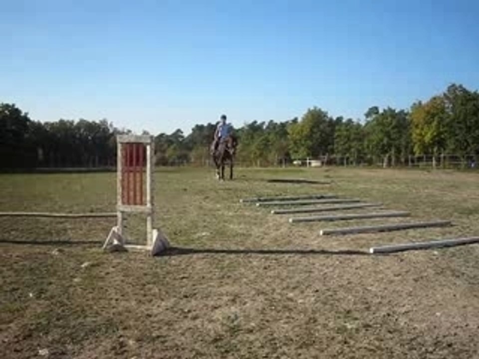 MVI_0976