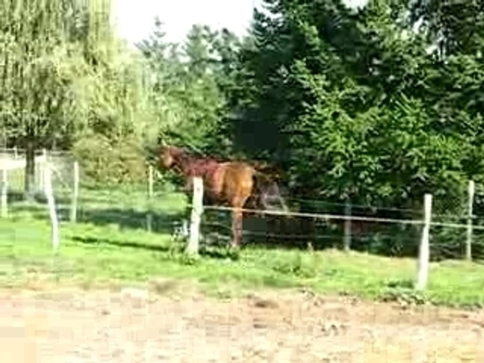 STORM-saut galop-Oct 2007