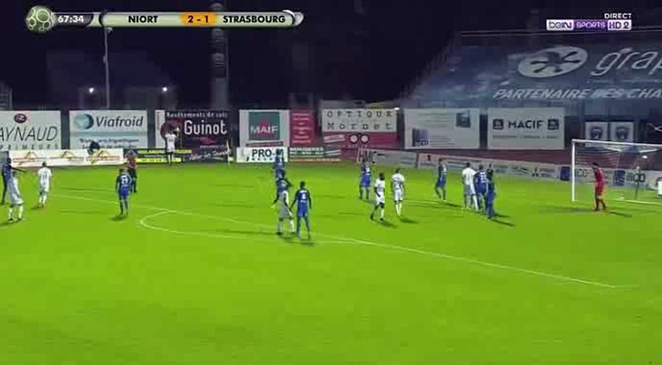 Kiki (Own goal)HD - Niort	2-2	Strasbourg 12.05.2017