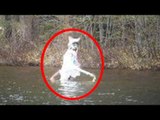 5 Cryptids Caught on Camera & Spotted In Real Life!