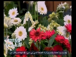 #هنا_العاصمة | تقرير | الورد في عيد شم النسيم