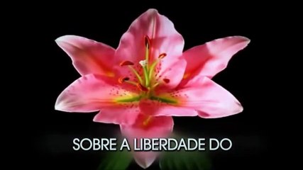 MAIS EXPLÍCITO, IMPOSSÍVEL