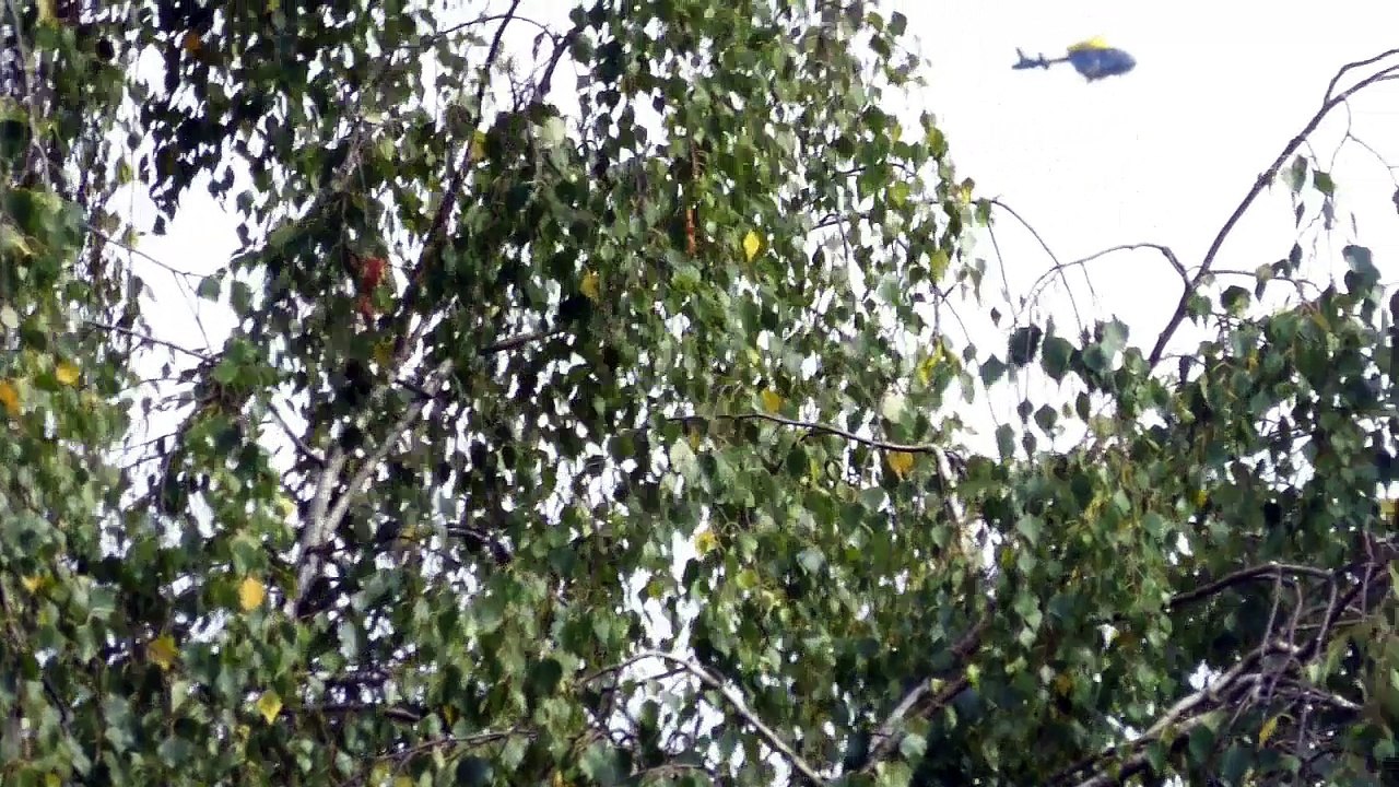 Police Helicopter 23 July 2015