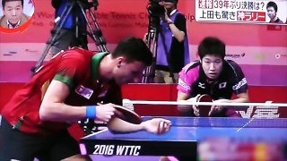 卓球世界ランキング７位水谷隼選手の「神ラリー」ってどんなの？