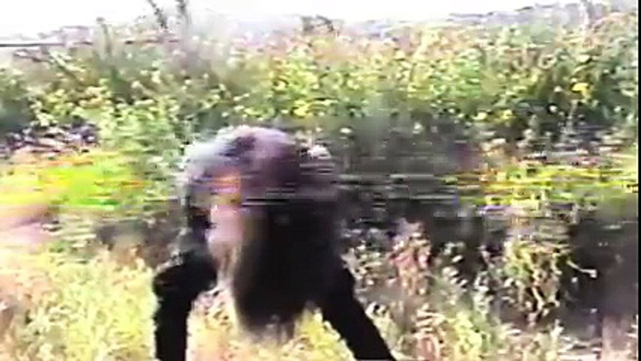 Bones - SunnyDay