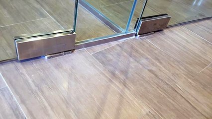 Auto-Patch Hydraulic Patch Pivot for Commercial Glass Door Applications