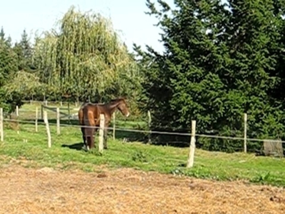 RIGHT LOOK liberté-oct 2007