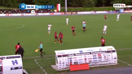 Blessure et sortie pour Les Herbiers, entrée de Ba