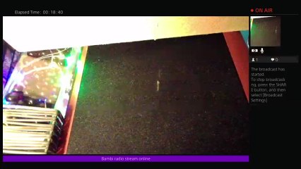 Bambi radio stream online (27)