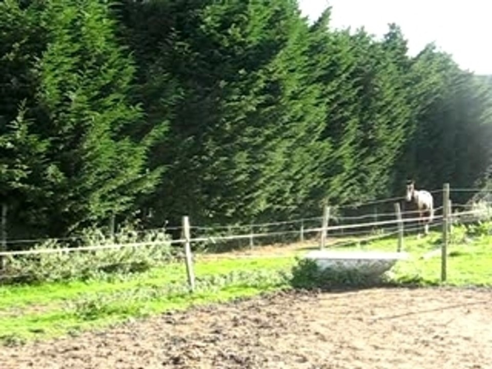 RIGHT LOOK liberté-oct 2007(1)