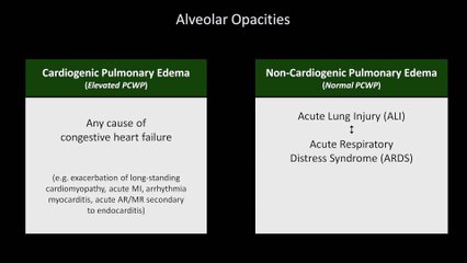 How to Interpret a Chest X-Ray (Lesson 7 - Diffuse Lung Processes)